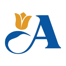 NY State Capital, Albany